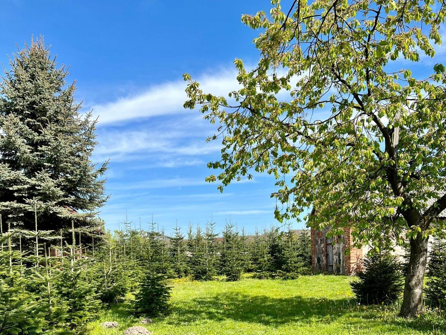 Sielski Dom I Sauna I Jacuzzi Dodatkowo Platna Opcja Holiday home *