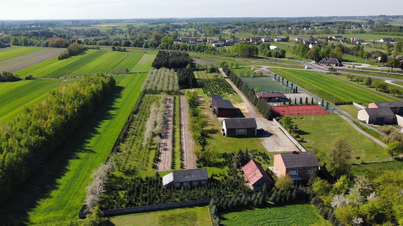 Holiday home Sielski Dom I Sauna I Jacuzzi Dodatkowo Platna Opcja Antoniowka (Opoczno)